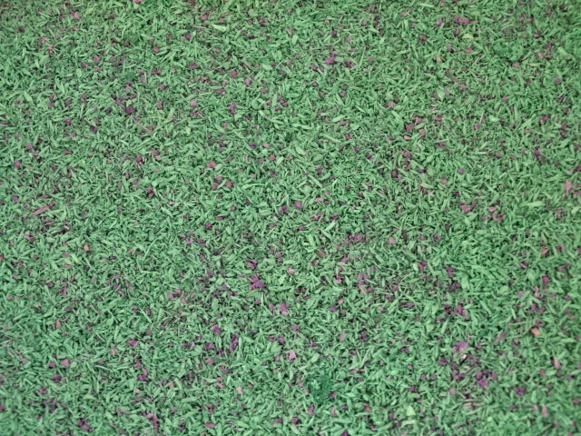 Fine scatter material - various colours and mixes - perfect for ground cover
